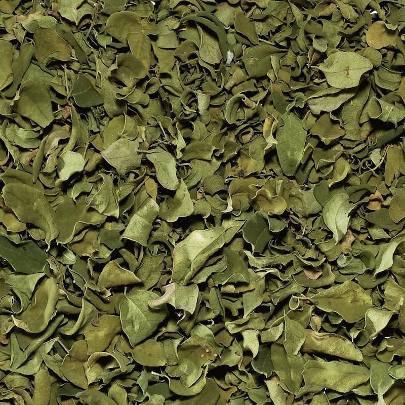 Moringa Bio 1 Moringa Bio