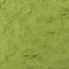 Bio Matcha Uji